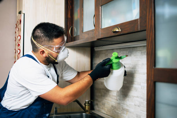 Best Best Pest Control Companies  in Pocono Ranch Lands, PA