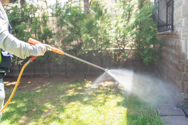 Best Best Pest Control Companies  in Pocono Ranch Lands, PA