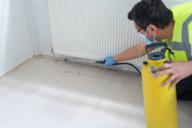 Best Ant Control Services  in Pocono Ranch Lands, PA